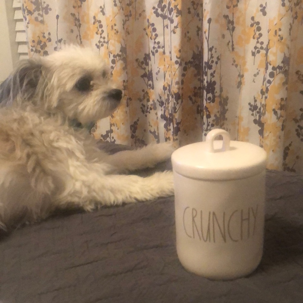 Crunch Pet Treat Jar